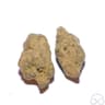 Pink Lily Caviar 1 Gram