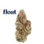 Alleged Orbit Buds 3.50 Gram