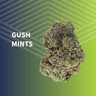 Gush Mints Buds 7 Gram