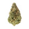 Mimosa Buds 1 Gram
