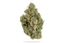Sfv Og Buds 3.50 Gram