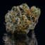 Orange Gmo Buds 56 Gram