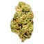 Blueberry Pancakes Buds 14 Gram