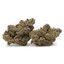 Ice Cream Cake Buds 28 Gram