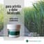 1:1 Arnica Muscle Balm