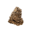 Panama Red Buds 7 Gram