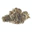 Powdered Donuts Buds 28 Gram