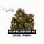 Sour Blueberry 2 Buds 3.50 Gram