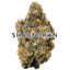 Forza Buds 3.50 Gram