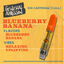 Blueberry Banana Cartridges 1000 Mg