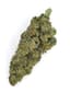 Froot By The Foot Buds 3.50 Gram