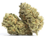 Tits Buds 3.50 Gram