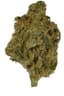 Lemon Fresh Buds 3.50 Gram