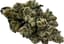 Lemon Pound Cake Buds 14 Gram