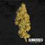 Truffles Buds 3.50 Gram