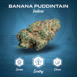 Banana Puddintain Buds 14 Gram