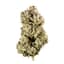 Original Glue Buds 3.50 Gram