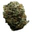 Event Horizon Buds 28 Gram