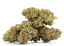 Cherry Pop Buds 3.50 Gram