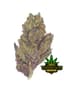 Space Dust Buds 14 Gram