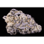 Tiger Cake Buds 3.50 Gram