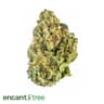 Lucy Buds 28 Gram
