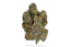 E85 Buds 3.50 Gram