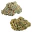Blueberry Dream Buds 28 Gram