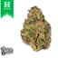 Gush Mints Buds 14 Gram