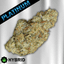 Granddaddy Pluto Buds 7 Gram