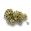 Original Glue Buds 28 Gram