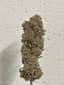 Sharpies Buds 3.50 Gram