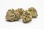 Dutch Treat Buds 28 Gram