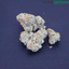Cap Junky Buds 7 Gram