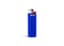 Bic Lighter