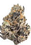 Chocolope Sundae Buds 3.50 Gram