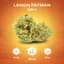 Lemon Fatman Buds 14 Gram