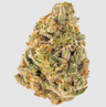 Cheetah Piss Buds 7 Gram