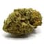 Rotating Buds 3.50 Gram