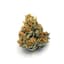 Granddaddy Purple Buds 14 Gram