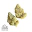Tropicana Cookies Buds 1 Gram