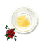 Rose Water Rosin 1 Gram