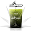 Apple Lato Buds 14 Gram