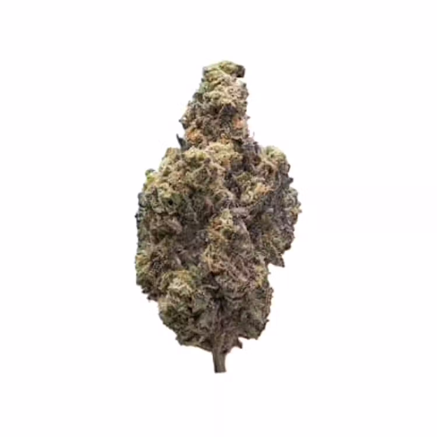 Devil's Lettuce Buds 28 Gram