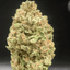 Super Boof Buds 3.50 Gram