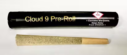 Tropicana Banana 1 Pack Pre Rolls 1 Gram
