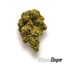 Papaya Buds 3.50 Gram