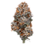 Runtz Buds 3.50 Gram