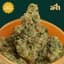 Zoda Buds 14 Gram