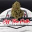 Acapulco Gold Buds 28 Gram